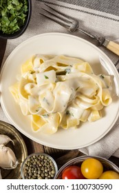 Fettuccine Pasta Plate With Creamy Alfredo Sauce