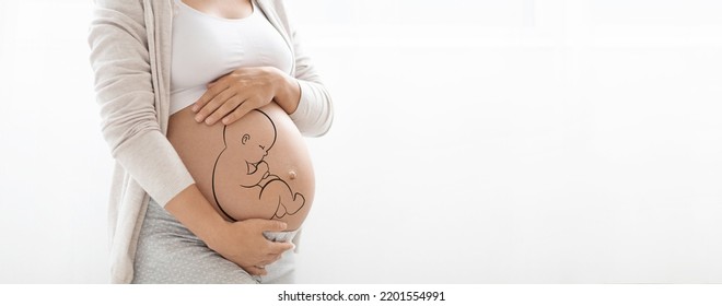 Fetus painting on big tummy of unrecognizable pregnant woman, cropped shot, white background, panorama with copy space, web-banner for pregnancy, motherhood concept