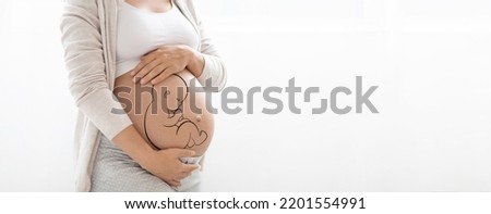 Fetus painting on big tummy of unrecognizable pregnant woman, cropped shot, white background, panorama with copy space, web-banner for pregnancy, motherhood concept