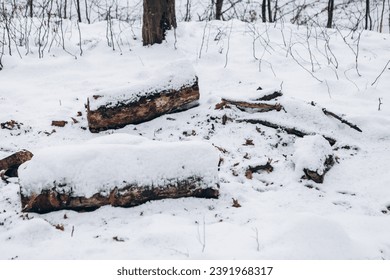 A few abandoned log trunks covered with layer of snow stumps tree 
