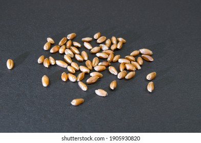 A Few Grains Of Wheat On A Black Background With A Side Light