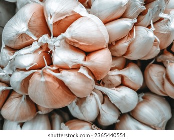 A few heads of fresh garlic (Allium sativum). Market price. Garlic cultivation. Garlic image. Garlic is a natural seasoning for cooking. Ready to cook. Prices of basic commodities. Community economy. - Shutterstock ID 2365440551