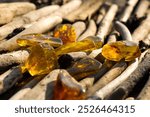 A few natural, polished Baltic ambers on a sandy beach in the rays of the setting sun. Kolobrzeg, Poland.