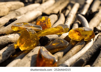 A few natural, polished Baltic ambers on a sandy beach in the rays of the setting sun. Kolobrzeg, Poland. - Powered by Shutterstock