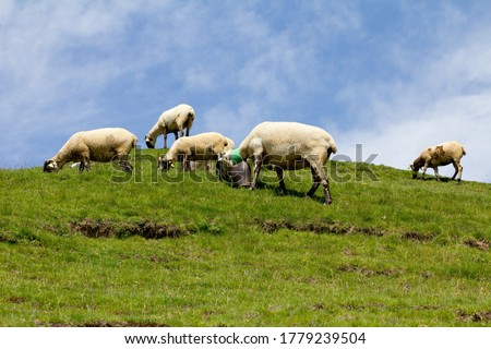 Similar – Image, Stock Photo Country under Sky Clouds