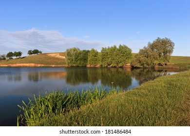 Few Trees On The Edge Of A Lake