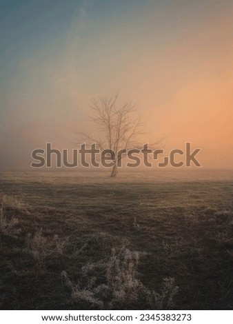 Similar – Wahner Heide ruhig Natur