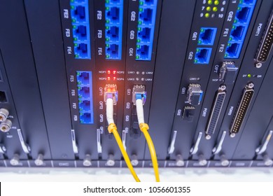 Fiber optic cable connected to card interface of networking switch