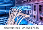 Fiber Optic cables connected to an optic ports and Network cables connected to ethernet ports. 