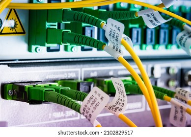 Fiber Optic Cables Plugged Network Switch Stock Photo (Edit Now) 2102829517