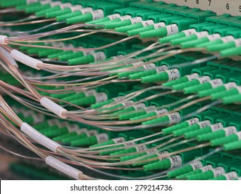 Fiber Optic Connectors In The Back Of A 576f Distribution Hub Panel Connecting Homes To Broad Band Services In An Fiber To The Home Network