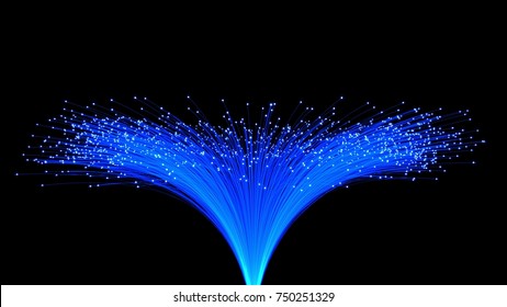 Fiber Optic Flower 