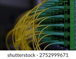 Fiber optic patch cords plugged into a distribution panel inside telecommunications infrastructure. Close-up of fiber connections used in passive optical networks for broadband data transmission.