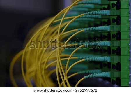 Fiber optic patch cords plugged into a distribution panel inside telecommunications infrastructure. Close-up of fiber connections used in passive optical networks for broadband data transmission.