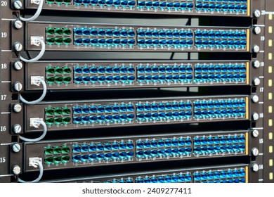 Fiber Optical cables connected to an optic ports Network cables connected to ethernet ports, Server with switch, internet cables and wires. Fiber optic equipment in data center. Network background.