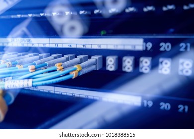 Fiber Optical connector interface. multiple exposure. Information Technology Computer Network, Telecommunication Fiber Optical Cables Connected. Data server.