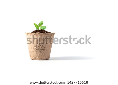 Fiber pot with recycle sign, with soil and small plant growing isolated on white background. Recycled material concept, ecology and tree planting concept.