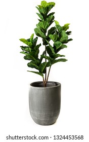 Fiber Pots With Fake Plant ,Modern Cement Pots With Plants , Modern Flowerpot