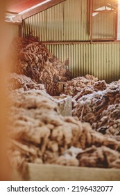 Fibers In An Alpaca Wool Manufacturing Facility. Alpaca Wool Production In Peru