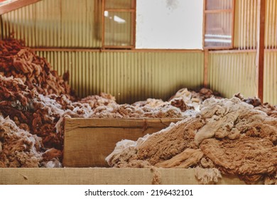 Fibers In An Alpaca Wool Manufacturing Facility. Alpaca Wool Production In Peru