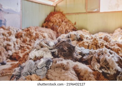 Fibers In An Alpaca Wool Manufacturing Facility. Alpaca Wool Production In Peru