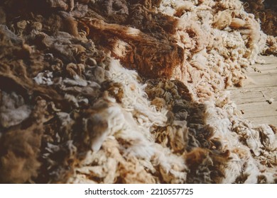 Fibers In An Alpaca Wool Manufacturing Facility. Alpaca Wool Production In Peru, Selective Focus.