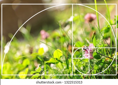 Fibonacci number Images, Stock Photos & Vectors | Shutterstock