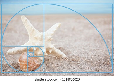 starfish diagram bivium