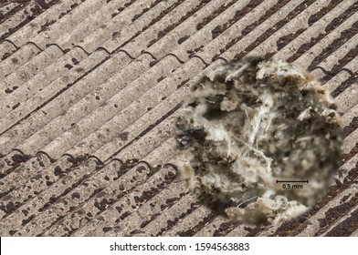 Fibre Cement Panels With Asbestos And Microphotograph Shows Asbestos Fibres