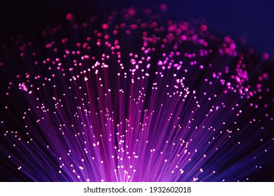 Fibre Optic Lights In The Dark