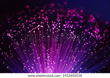 Fibre optic lights in the dark