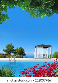 fictitious 3D rendering showing a swimming pool and bougainvilea
