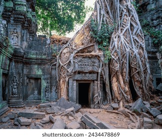 Ficus Strangulosa tree eroding ruins at Ta Prohm : Siem Reap, Cambodia