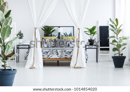 Ficus trees in spacious canopy bedroom interior with wooden bed with patterned dark bedsheets