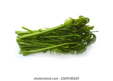                        Fiddlehead Fern resting on a white background. Is a vegetable that is eaten in the young shoots.         - Powered by Shutterstock