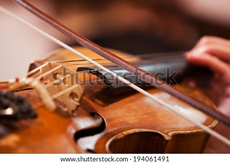 Fiddlestick on the strings of a violin closeup