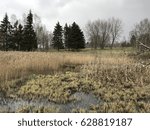 The field