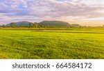 Field