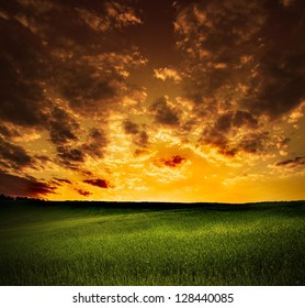 field