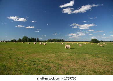 field