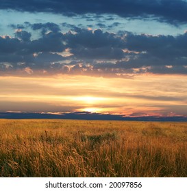 field