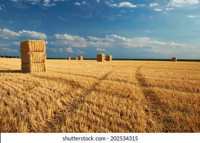 Field