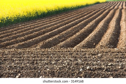 Field