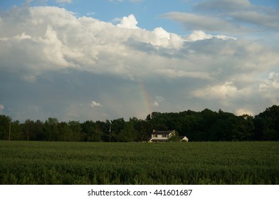 field 