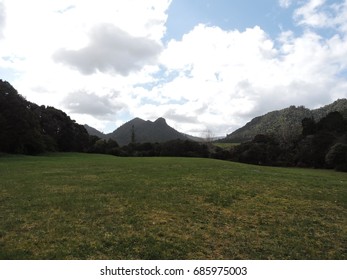 field