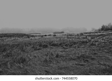 Field