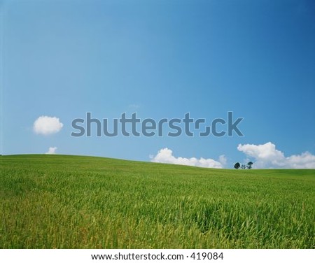 Similar – Image, Stock Photo girl walking in a field with yellow flowers one day