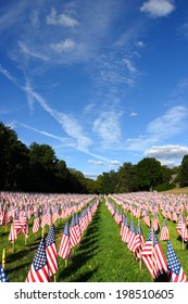 Field of American Flags  