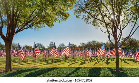 Field of American flags displayed on the honor of Veterans Day celebration on a beautiful autumn morning in Texas. 