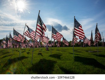 Field Of American Flags On Display For Memorial Day